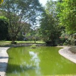 Greening the campus with pond and mini forest.