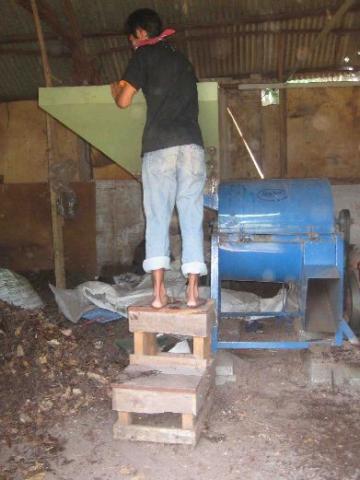 Sorting area for leaf litter.