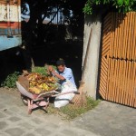 Leaf litter collection for compost.