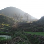 Looking up the catchment to the reservoir and the source pools at the base of the trees.