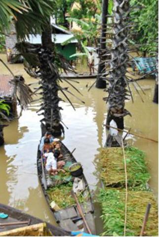 Cambodia flood