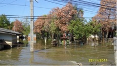 Houses along the left