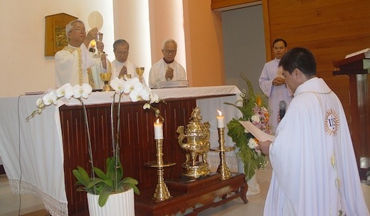 Fr Michael Truong Thanh Tam SJ