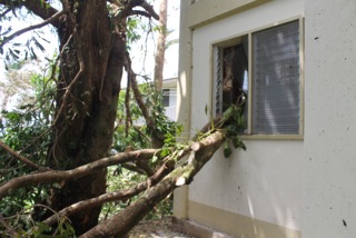 Tree blown through window of Jesuit Residence.