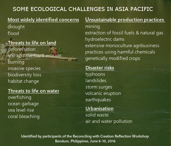 Ecological challenges in Asia Pacific RwC workshop