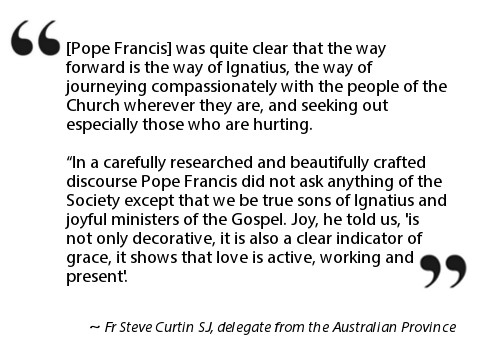 Fr Steve Curtin SJ quote