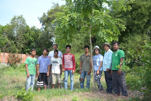 The Jesuit Service Cambodia Ecology Programme team with a Albizia Lebbeck, one of the endangered local hardwood trees they planted in the mini-forest.