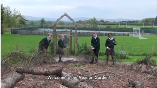 Caring for the environment at school