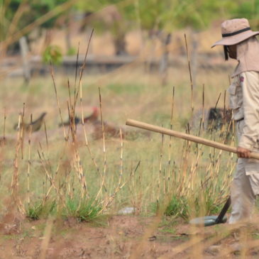 Ten years on, treaty to ban cluster munitions yields positive impact