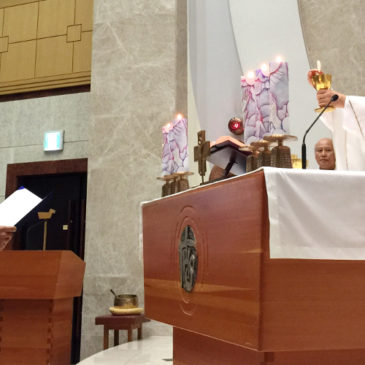 Fr Chung Man-young Kolbe SJ professes Final Vows in Korea