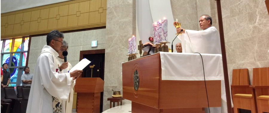 Fr Chung Man-young Kolbe SJ professes Final Vows in Korea