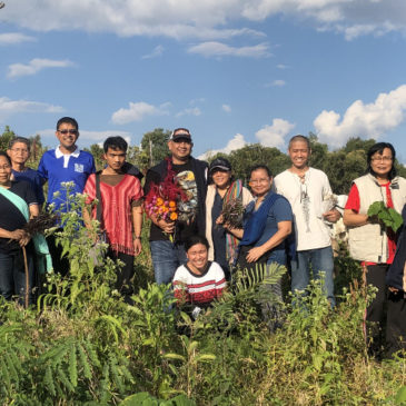 Learning from the Karen tribe