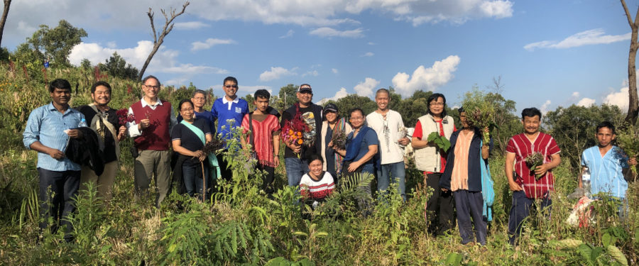 Learning from the Karen tribe