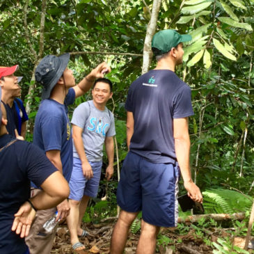 Laudato si’ workshop: promoting a spirituality in action