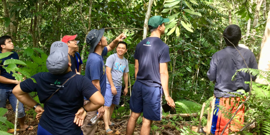 Laudato si’ workshop: promoting a spirituality in action