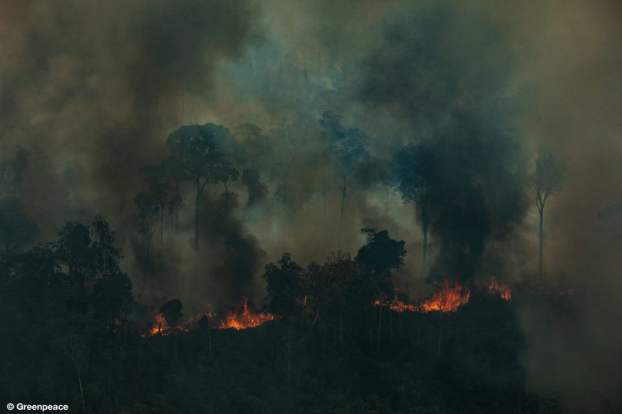 “We raise our voice for the Amazon”