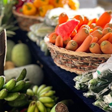 “To Market, To Market”: St Ignatius’ parish holds Farmers’ Market