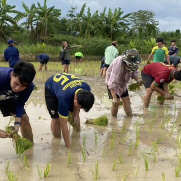 Planting rice, cultivating life