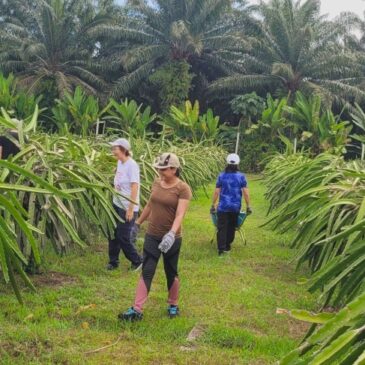 Fostering the next generation of eco warriors