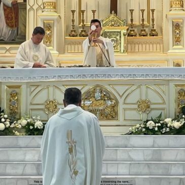 Same yet different: Final Vows of Fr Albert Tan Kim Seong SJ